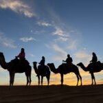 camel-trekking