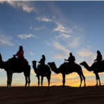 camel-trekking