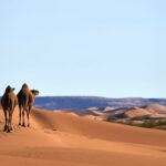desert-sahara-mhamid